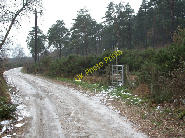 Photo 6"x4" Lions Hill, kissing gate St Leonards\/SU1103 c2010