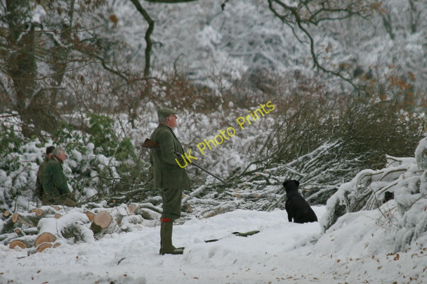 Photo 6"x4" Solemn expectation at the West Drive at the Altyre shoot Woodside\/NJ0555 c2010