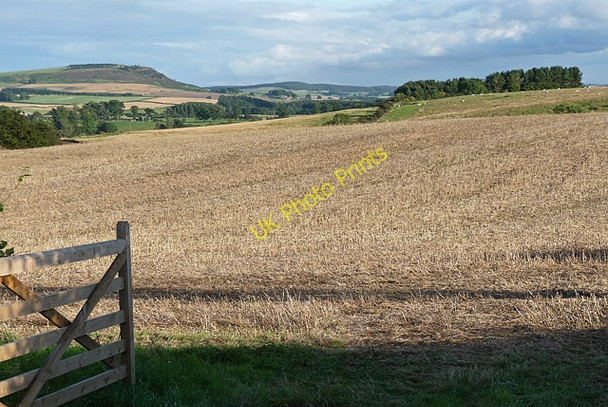 Photo 6"x4" Farmland near Newtown East Lilburn c2010