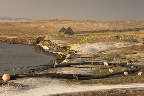 Photo 6"x4" Ayre of Belmont Belmont\/HP5600 c2010