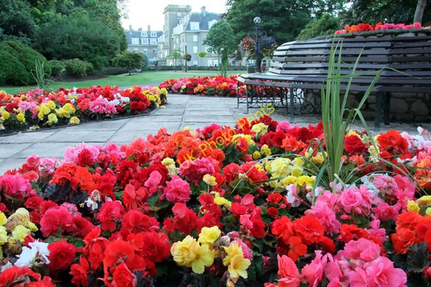 Photo 6"x4" Gleneagles Hotel garden Muirton\/NN9211 c2010