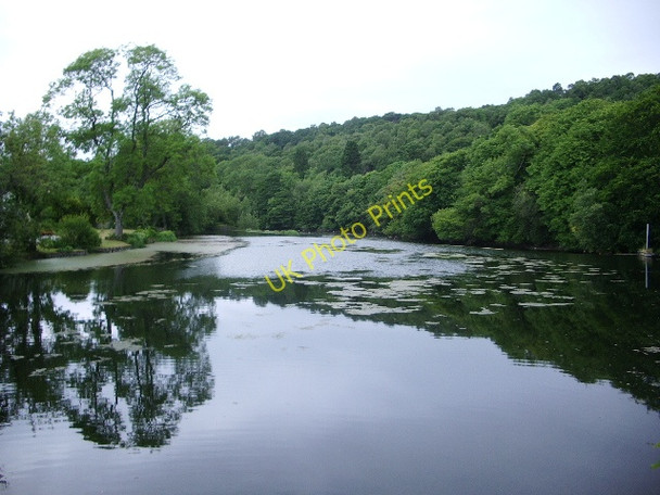 Photo 6"x4" River Leven from Newby Bridge Finsthwaite c2008