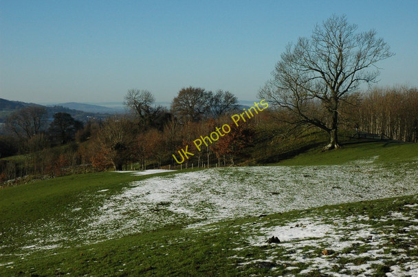 Photo 6"x4" Hillside below Colgate Farm Ham\/SO9721 c2010