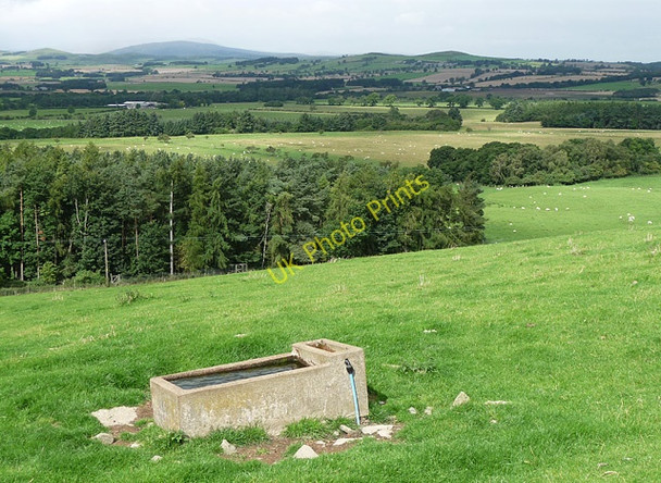 Photo 6"x4" Farmland near Edlingham (2) Bolton\/NU1013 c2010