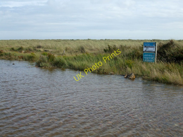 Photo 6"x4" Colne Point Nature Reserve Lee-over-Sands c2010