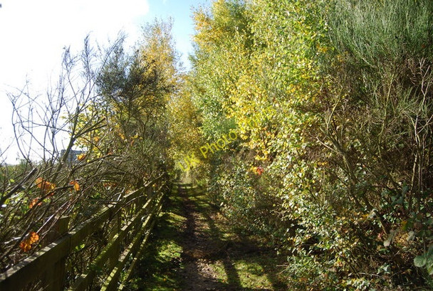 Photo 6"x4" Bridleway by the A249 Chesley c2010