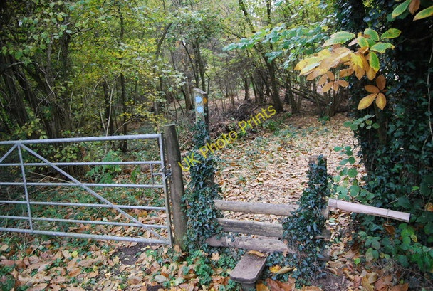 Photo 6"x4" 1066 Country Walk enters Powdermills Wood Battle\/TQ7416 c2010
