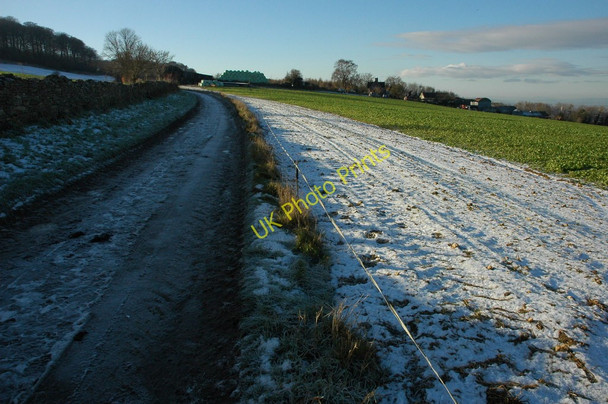Photo 6"x4" Road to Castle Barn Farm Kilkenny\/SP0018 c2010