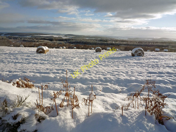 Photo 6"x4" View towards Inverness from the Tore to Killen road Tore c2010