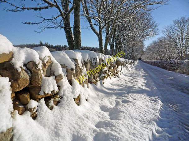 Photo 6"x4" Dry stone wall along the road to Balnakyle Farm Munlochy c2010