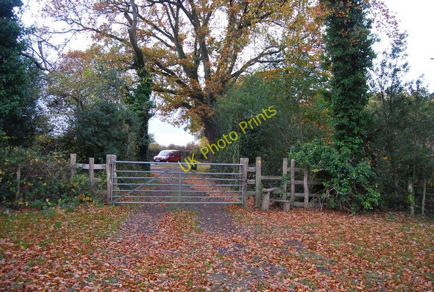 Photo 6"x4" 1066 Country Walk approaches Powdermills Lane Battle\/TQ7416 c2010