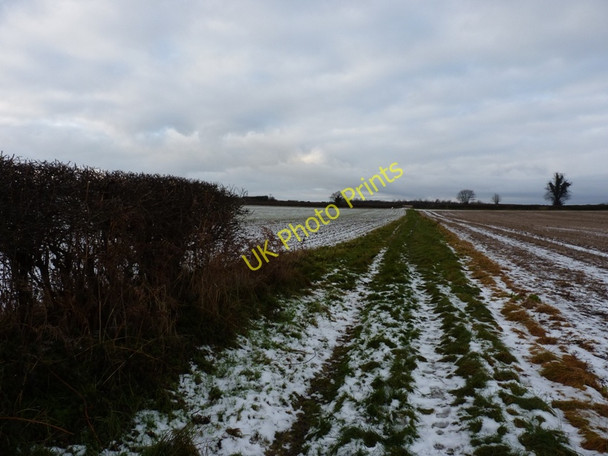 Photo 6"x4" Footpath behind The Hobbins Bridgnorth c2010