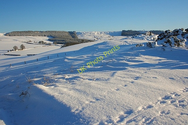 Photo 6"x4" On Cliff Ridge Great Ayton c2010