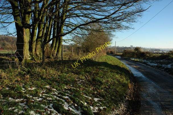 Photo 6"x4" Trees beside a road at Whittington Whittington\/SP0121 c2010
