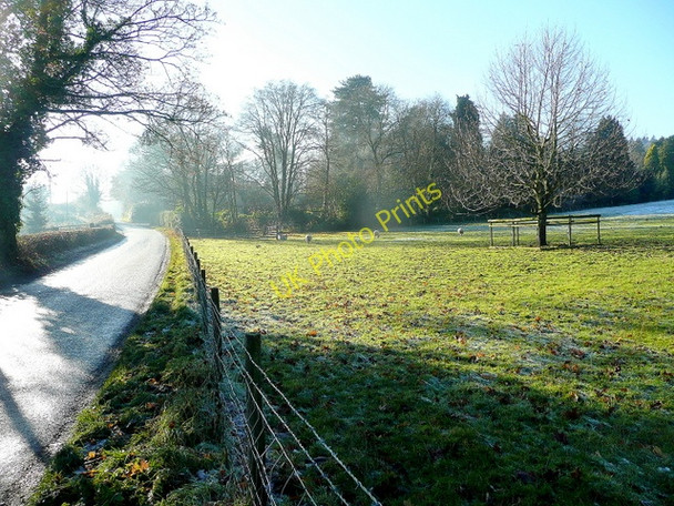 Photo 6"x4" Winter sunshine Ganders Green c2010