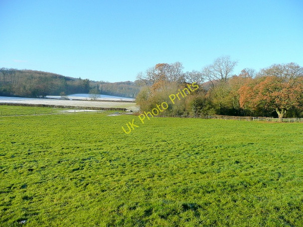 Photo 6"x4" The eastern slopes of May Hill Taynton\/SO7321 c2010