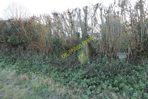 Photo 6"x4" Trig point at Nuffield Nuffield c2010