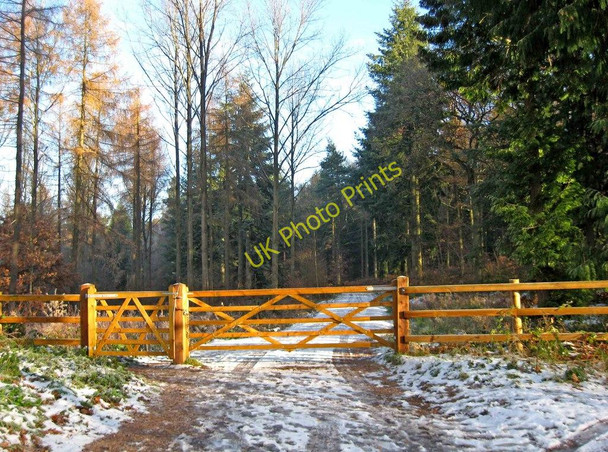 Photo 6"x4" Entrance to Eymore Wood Holbeache c2010