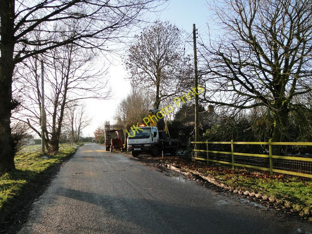 Photo 6"x4" Tree cutting at Ilketshall St Lawrence High Street\/TM3684 c2010