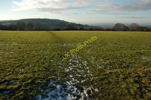 Photo 6"x4" Bridleway below Wistley Hill Little Herbert's c2010