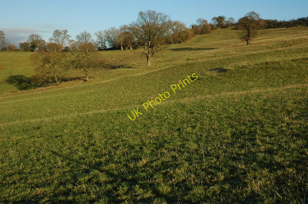 Photo 6"x4" The slopes of Wistley Hill Little Herbert's c2010