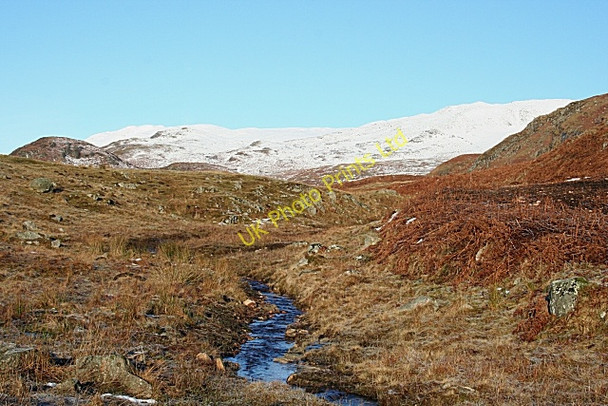 Photo 6"x4" Moorland Burn in Glen Lednock Invergeldie c2008