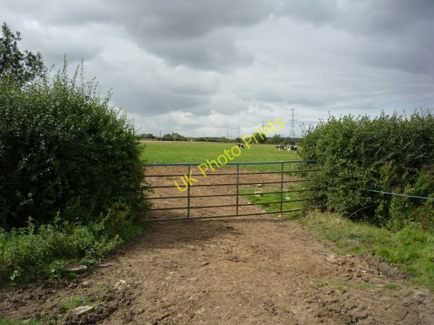 Photo 6"x4" Gate into field Alne Station c2010
