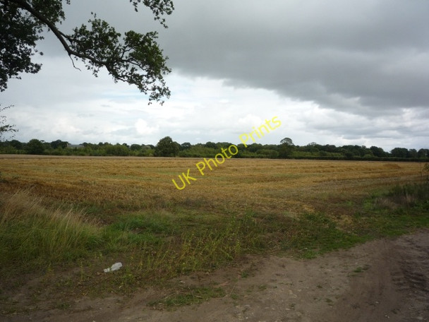 Photo 6"x4" Towards Crankley Grange Alne Station c2010
