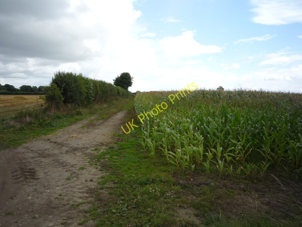 Photo 6"x4" Footpath to Crankley Grange Alne Station c2010