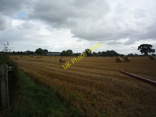Photo 6"x4" Bales near Raskelf Raskelf c2010