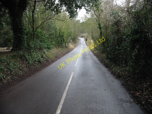 Photo 6"x4" View along country road near Betteshanger Betteshanger c2008