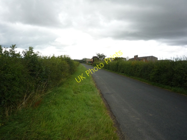 Photo 6"x4" Along Jobbing Cross Fawdington c2010