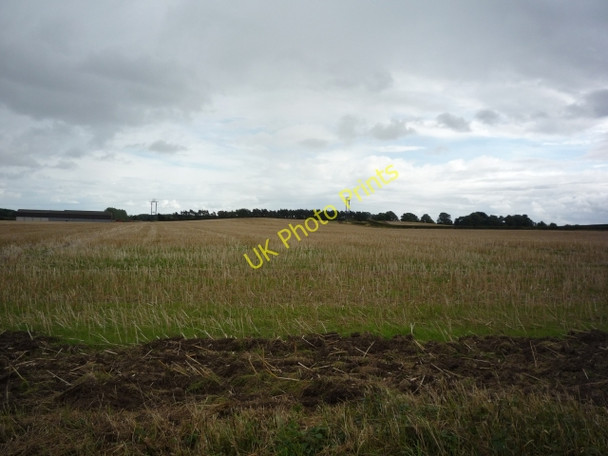 Photo 6"x4" Farmland near Raskelf Road Brafferton\/SE4370 c2010