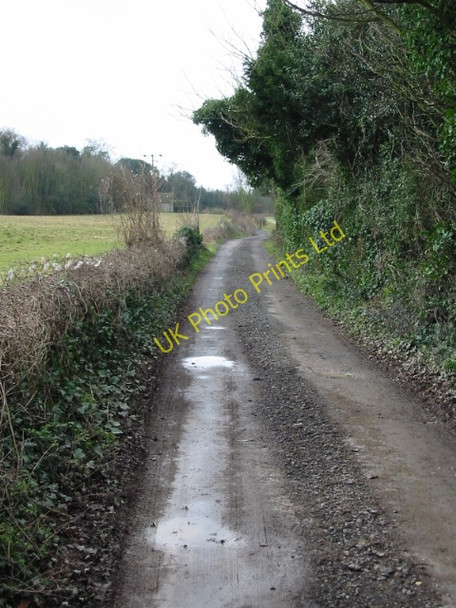 Photo 6"x4" Looking SW along bridleway through New Park Betteshanger c2008