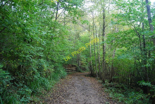 Photo 6"x4" Sussex Border Path, Great Hook Wood Lower Cousley Wood c2010 P1
