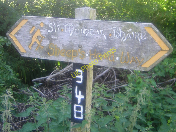 Photo 6"x4" Sheeps Head walk sign, Kilcrohane Kilcrohane c2006