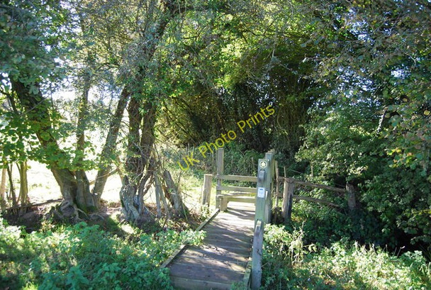Photo 6"x4" Footbridge, Sussex Border Path Snagshall c2010 P1