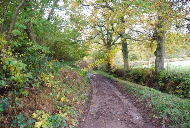 Photo 6"x4" Lane crossing the Sussex Border Path Birchden c2010