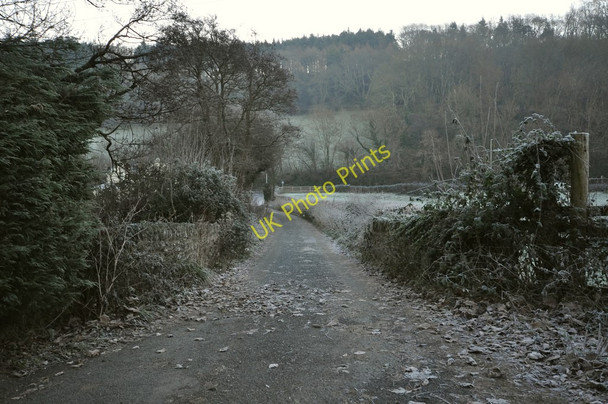 Photo 6"x4" Corffe Green Bridge on the river Caen Knowle\/SS4938 c2010 P1