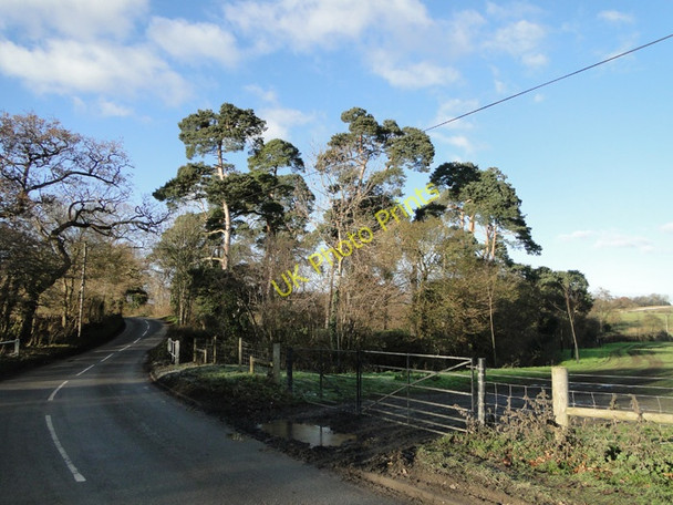 Photo 6"x4" Road near Willow Farm, Heveningham Heveningham c2010