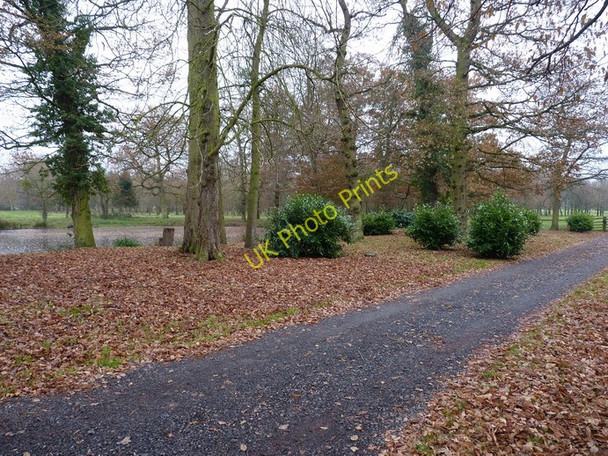 Photo 6"x4" Small pool and oaks at the entrance to Mere Hall Mere Green\/SO9562 c2010