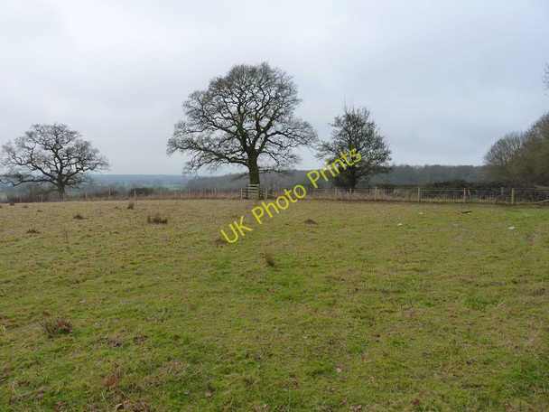 Photo 6"x4" The Wychavon Way on Puck Hill Goosehill Green c2010