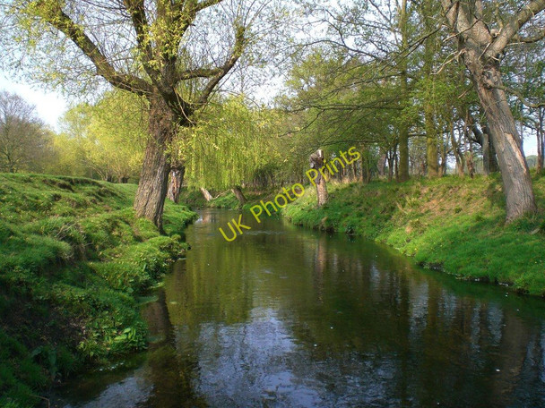 Photo 6"x4" Beverley Brook, south of Killcat Corner, in April Kingston Vale c2007