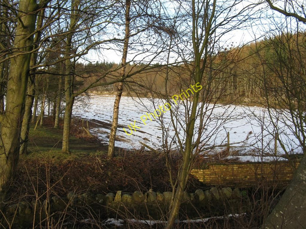 Photo 6"x4" Snowy field at Marldene Fala\/NT4361 c2010