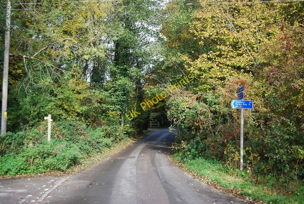 Photo 6"x4" National cycle route 21 and Sussex Border Path off Corseley Rd Birchden c2010