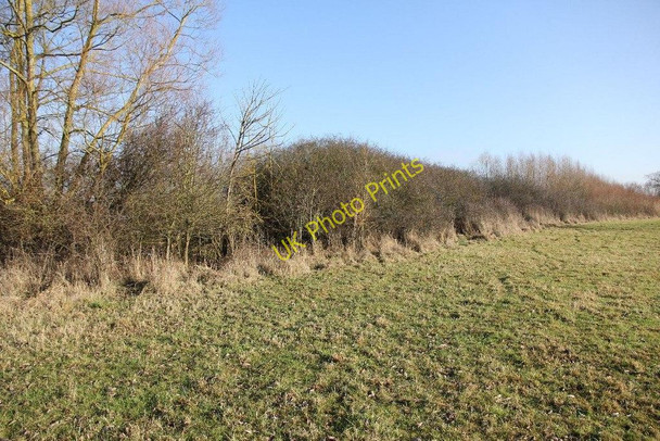 Photo 6"x4" Along the sloe bush Brighthampton c2010