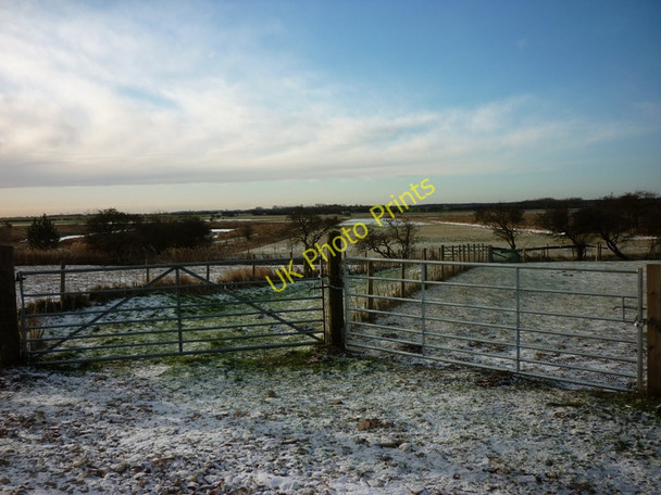 Photo 6"x4" Lambwath Meadow's Westhill\/TA2239 c2010