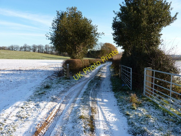 Photo 6"x4" Farm track to Sheepwalk Coppice Hallon c2010