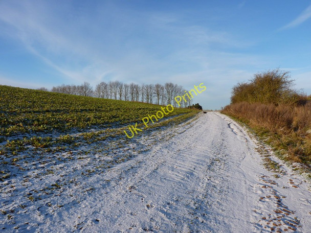 Photo 6"x4" Footpath heading towards Folley Bradney\/SO7695 c2010
