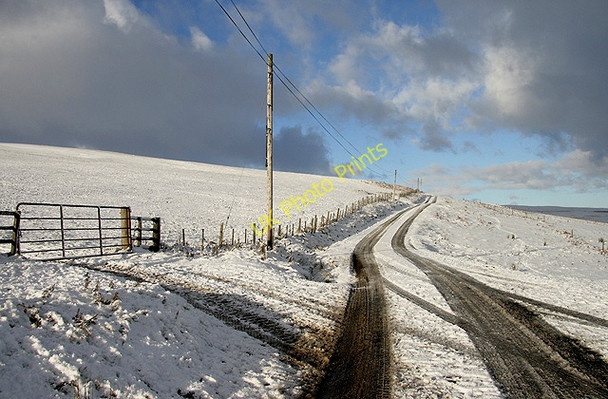 Photo 6"x4" A minor road near Priesthaugh Skelfhill c2010
